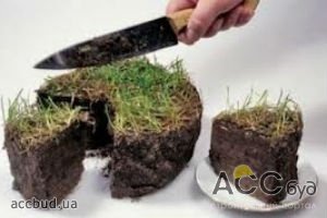 Для формирования Государственного земельного банка уже собрали 120 млн грн