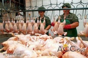 В январе-феврале 2013 года Украина увеличила экспорт мяса птицы в 3,3 раза!