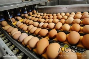 Украине разрешили импортировать продукцию птицеводства на рынок ЕС