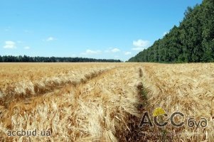 Алексей Павленко: Аграрная расписка - надежный и ликвидный инструмент привлечения финансирования в АПК