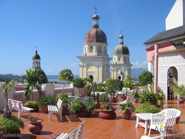 растения на крыше