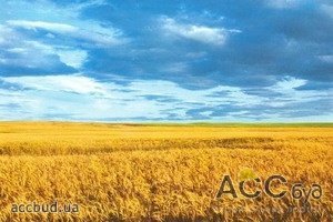 Китаю нужны 3 млн га сельскохозяйственных угодий Украины