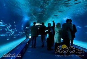 Руководство киевского зоопарка отрицает строительство океанариума